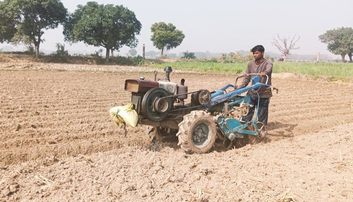 বেড প্লান্টিংয়ে কৃষকের খরচ কমে ৭০ শতাংশ