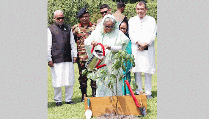‘জলবায়ু পরিবর্তনের প্রভাব থেকে দেশ রক্ষায় গাছ লাগান’